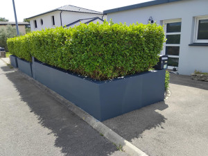 Photo de galerie - Peinture - Tapisserie