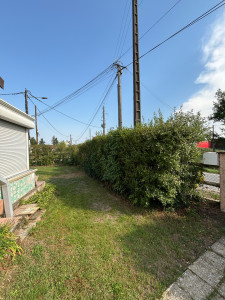 Photo de galerie - Taille de haies et d'arbustes