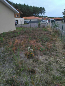 Photo de galerie - Paysagiste - Aménagement du jardin