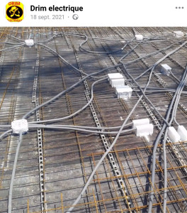 Photo de galerie - Réalisation de pieuvres 