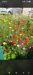 Photo de galerie - Jardin fleury a coter d'un potager 