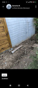 Photo de galerie - Coupe de banbou jusqu'à la racine.
