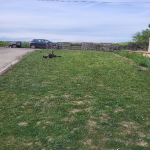 Photo de galerie - Chantier courson les carrières ( 89 )