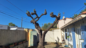 Photo de galerie - Après 