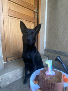 Photo de galerie - Malbo !