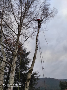 Photo de galerie - Bricolage et multi services