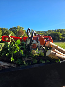 Photo de galerie - Equiper pour couper , abattre des arbre , taille 