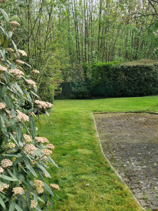 Photo de galerie - Après 