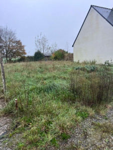 Photo de galerie - Tonte de pelouse - Débroussaillage