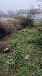 Photo de galerie - Avant mon passage 
