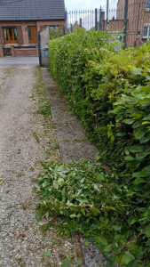 Photo de galerie - Jardinier