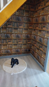 Photo de galerie - Pose de papier peint, tapisserie et panoramique.... 