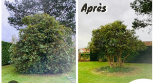 Photo de galerie - Taille 