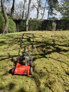 Photo de galerie - Passage du scarificateur
Retourner votre votre terrain grâce à motobineuse et possibilité de semer votre pelouse 
