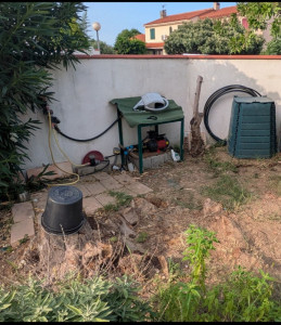 Photo de galerie - Elagage et coupe d'arbres