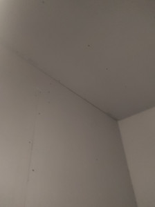 Photo de galerie - Placo 