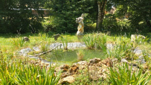 Photo de galerie - Création d'une marre