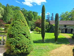 Photo de galerie - Taille cyprès