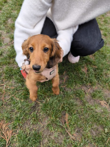 Photo de galerie - ?