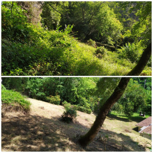 Photo de galerie - Tonte de pelouse - Débroussaillage