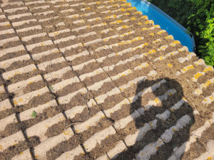 Photo de galerie - Avant nettoyage 