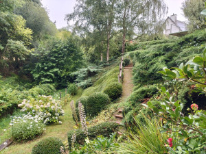 Photo de galerie - Entretien régulier d'un jardin à Taden 