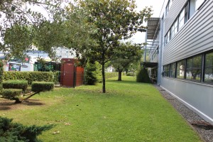 Photo de galerie - Taille de haies et d'arbustes