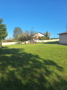 Photo de galerie - Tondeuse, debroussaillage 