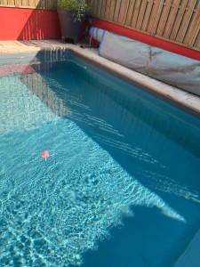 Photo de galerie - Remettre piscine verte en eau 