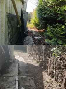 Photo de galerie - Taille de haie 