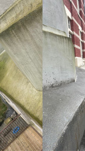 Photo de galerie - Nettoyage d Alep  2100