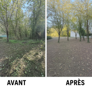 Photo de galerie - Nettoyage d’un terrain envahit par les ronces et les rejets