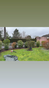 Photo de galerie - Entretien massif 