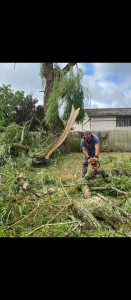 Photo de galerie - Débitage d'un arbre tombé après la tempête