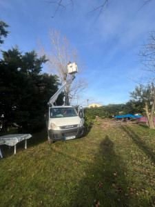 Photo de galerie - élagage 