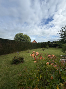 Photo de galerie - Taille de haie 