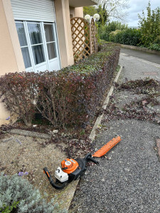 Photo de galerie - Taille de haie de berberis 