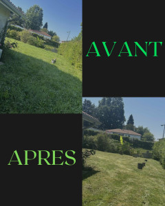 Photo de galerie - Tonte de pelouse 