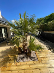 Photo de galerie - Paysagiste - Aménagement du jardin