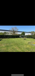 Photo de galerie - Taille de haies et d'arbustes