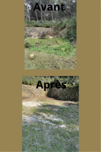 Photo de galerie - Débroussaillage 