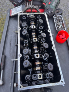 Photo de galerie - .