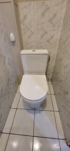 Photo de galerie - Pose cuvette WC 