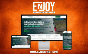 Photo de galerie - Site vitrine d’une société de fret vers les Antilles : présentation des services, demande de devis en ligne et référencement local. www.alizesfret.com