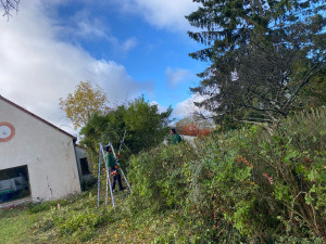 Photo de galerie - En plein rabattage 
