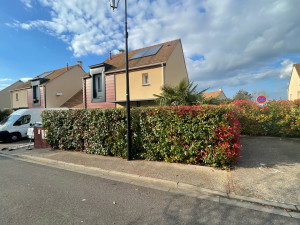 Photo de galerie - Taille de haies et d'arbustes