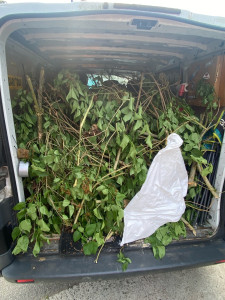 Photo de galerie - Tonte de pelouse - Débroussaillage