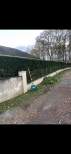 Photo de galerie - Entretien annuel