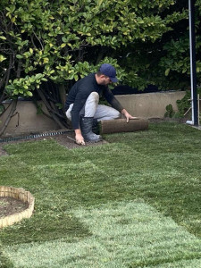 Photo de galerie - Paysagiste - Aménagement du jardin