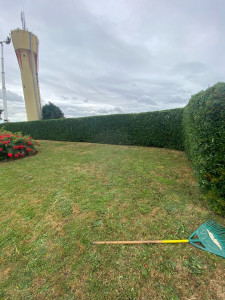 Photo de galerie - Taille de haies